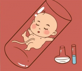 生男孩和女孩是由什么决定的？