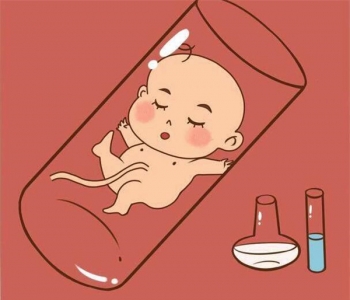 生男孩和女孩是由什么决定的？
